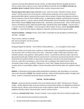 Lietuvių kalbos ir literatūros programinių autorių konspektas egzaminui 19 puslapis