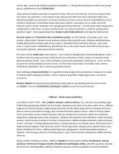 Lietuvių kalbos ir literatūros programinių autorių konspektas egzaminui 3 puslapis