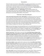 Lietuvių kalbos ir literatūros programinių autorių konspektas egzaminui 5 puslapis