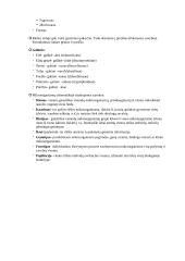 Mikrobiologijos teorijos konspektas 2 puslapis