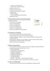 Mikrobiologijos teorijos konspektas 6 puslapis