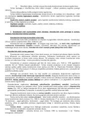 Lyginamosios konstitucinės teisės teorija 2 puslapis