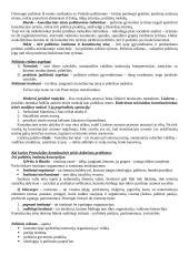 Lyginamosios konstitucinės teisės teorija 11 puslapis