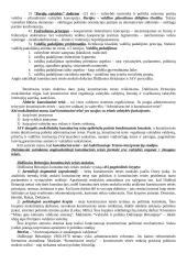 Lyginamosios konstitucinės teisės teorija 13 puslapis