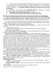 Lyginamosios konstitucinės teisės teorija 17 puslapis