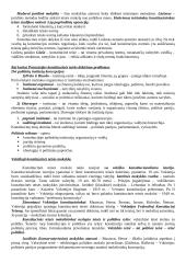 Lyginamosios konstitucinės teisės teorija 18 puslapis