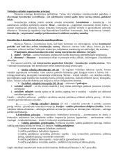 Lyginamosios konstitucinės teisės teorija 19 puslapis