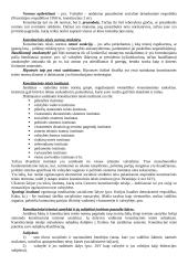 Lyginamosios konstitucinės teisės teorija 3 puslapis