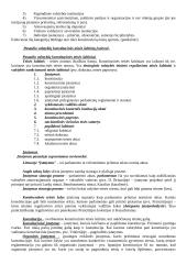 Lyginamosios konstitucinės teisės teorija 4 puslapis