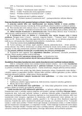 Lyginamosios konstitucinės teisės teorija 10 puslapis