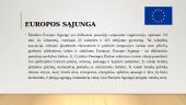 Europos sąjunga kaip tarptautinė organizacija 3 puslapis