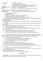 Mokslo tiriamojo darbo teorija 16 puslapis