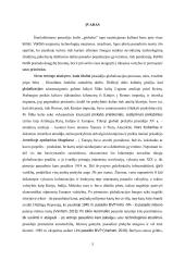 Šiuolaikinės globalinės ekonomikos problemos ir jų sprendimas (referatas) 2 puslapis