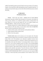 Šiuolaikinės globalinės ekonomikos problemos ir jų sprendimas (referatas) 7 puslapis