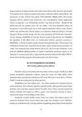 Šiuolaikinės globalinės ekonomikos problemos ir jų sprendimas (referatas) 9 puslapis
