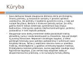 Kinga Nowak - menininkės pristatymas 3 puslapis