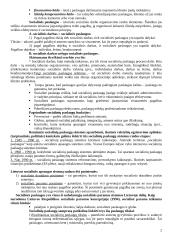 Socialinių paslaugų administravimo konspektas 2 puslapis