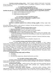 Socialinių paslaugų administravimo konspektas 3 puslapis