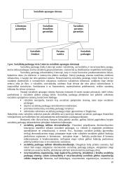 Socialinių paslaugų administravimo konspektas 10 puslapis