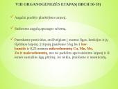 Sėjamųjų avižų agrobiologinio potencialo formavimas 12 puslapis