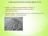 Sėjamųjų avižų agrobiologinio potencialo formavimas 14 puslapis