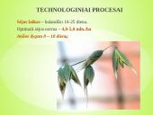 Sėjamųjų avižų agrobiologinio potencialo formavimas 6 puslapis