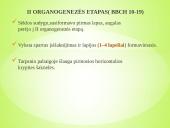 Sėjamųjų avižų agrobiologinio potencialo formavimas 7 puslapis