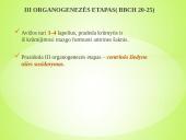 Sėjamųjų avižų agrobiologinio potencialo formavimas 8 puslapis