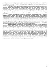 Saugios socialinės ir natūralios aplinkos formavimas ir šio paslaugų segmento plėtojimas 6 puslapis