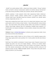 Internet Explorer ir kitos naršyklės, naršyklių populiarumas 3 puslapis