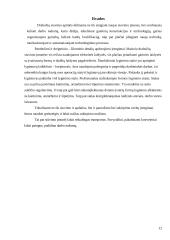 Siuvimo technologiniai įrenginiai 12 puslapis