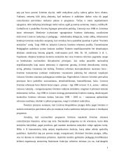 Švietimo kaita Lietuvoje 4 puslapis