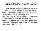 Niufaulendas ir Vakarų Škotijos terjeras 2 puslapis