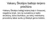 Niufaulendas ir Vakarų Škotijos terjeras 11 puslapis