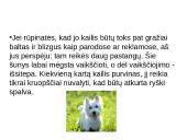 Niufaulendas ir Vakarų Škotijos terjeras 12 puslapis