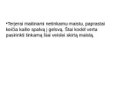 Niufaulendas ir Vakarų Škotijos terjeras 13 puslapis