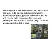 Niufaulendas ir Vakarų Škotijos terjeras 17 puslapis