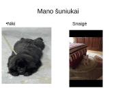 Niufaulendas ir Vakarų Škotijos terjeras 18 puslapis