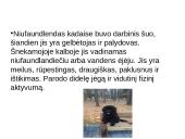 Niufaulendas ir Vakarų Škotijos terjeras 3 puslapis