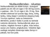 Niufaulendas ir Vakarų Škotijos terjeras 4 puslapis