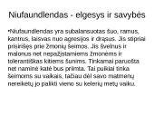 Niufaulendas ir Vakarų Škotijos terjeras 5 puslapis