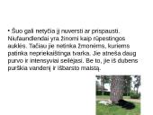 Niufaulendas ir Vakarų Škotijos terjeras 6 puslapis