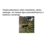 Niufaulendas ir Vakarų Škotijos terjeras 7 puslapis