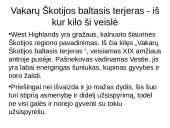 Niufaulendas ir Vakarų Škotijos terjeras 9 puslapis