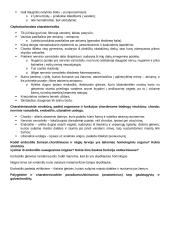 Stuburinių gyvūnų koliokviumas 3 puslapis