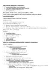 Stuburinių gyvūnų koliokviumas 4 puslapis