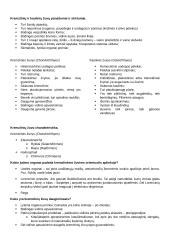 Stuburinių gyvūnų koliokviumas 6 puslapis