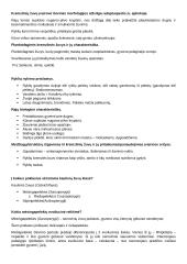 Stuburinių gyvūnų koliokviumas 7 puslapis