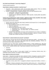 Stuburinių gyvūnų koliokviumas 8 puslapis