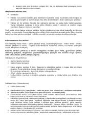 Stuburinių gyvūnų koliokviumas 9 puslapis